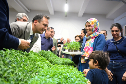 İzmir Bornova’da 400 bin fide toprakla buluşuyor