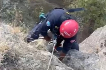 Kayseri Büyükşehir itfaiyesi mahsur kalan keçiyi kurtardı