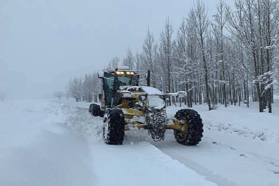 Erzurum'da aşırı kar yağışı ve tipi ulaşımı felç etti