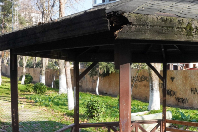 İstanbul Beylikdüzü’nde parklara saldırılar arttı