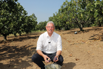 Mudanya Belediyesi’nden taşınmaz açıklaması: Satışa çıkan alanlar köy arazisi değil
