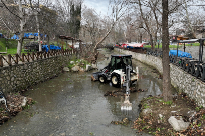 Bursa Büyükşehir'den Misi'de dere ve çevre temizliği