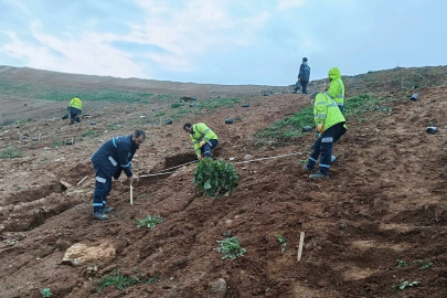 Kocaeli Gebze'de Büyükşehir’le yeşile dokunuş