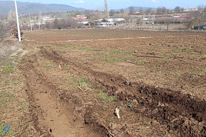 Pazaryeri’nde 'yüksek gerilim' tarım arazilerini zora soktu!