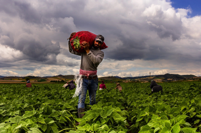 Bursa Yenişehir'de tarımı geliştiren, sanayi ve ticareti büyüten anlayış hakim